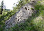 Graue Mergelsteine des tieferen Schelfs der Grabenbach-Formation (Gosau-Gruppe) aus dem Santonium des Lattengebirges, Berchtesgadener Alpen, Aufschluss Dalsenalm bei Bad Reichenhall. © Michael Wagreich
