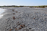 Geröllstrand aus Oberkreide-Flinten an der Ostküste der Helgoländer Düne (Aade). © Markus Wilmsen