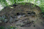 Obercenomane Brandungskonglomerate der Oberhäslich- und Dölzschen-Formation an der Heidenschanze in Dresden-Coschütz, Sächsisches Kreidebecken. © Birgit Niebuhr