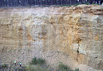 Marine Sandsteine des Knollensand-Members der Winzerberg-Formation (Unterturonium) in der Grube Flierl bei Amberg/Oberpfalz, Danubische Kreide-Gruppe. © Markus Wilmsen
