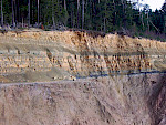 Grünsandsteine und spiculitische Siltsteine der Danubischen Kreide-Gruppe (Obercenomanium-Unterturonium) überlagern einen variszischen Kristallgranit bei Roding/Oberpfalz. © Markus Wilmsen