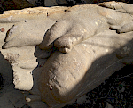 Schichtunterseite mit distalen Turbiditausläufern im "Wienerwaldflysch" der Kahlenberg-Formation (Campanium) im Steinbruch Dambachgraben bei Purkersdorf (Niederösterreich). © Michaela Berensmeier