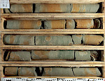 Bohrung Pfakofen LAM B2/2009: grüne Glaukonitite und gelbe Bryozoen-Kalkarenite der Großberg-Formation (Oberturonium), Danubische Kreide-Gruppe südlich Regensburg. © Mike Kling, bayerisches LfU