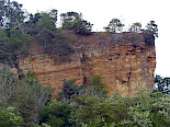 Lehoffelsen bei Quedlinburg/Sachsen-Anhalt, involutus-Sandstein der Halberstadt-Formation in der Subherzynen Kreidemulde (Mittelconiacium). © Axel Munnecke