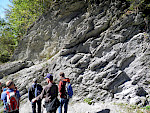 Geschieferte, graue Mergelsteine des tieferen Schelfs mit vereinzelten Kalkbänkchen (Amden-Formation) aus dem Santonium-Campanium des Helvetikums der Ostalpen, Kleinwalsertal. © Michael Wagreich