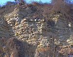 Ausschnitt der siltigen Mergel des vorherigen Fotos, obercenomane Dölzschen-Formation an ihrer Typuslokalität am Ratssteinbruch in Dresden-Dölzschen, Sächsisches Kreidebecken. © Ralf Lehr