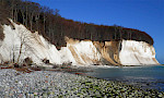Schreibkreide aus dem Untermaastrichtium der Hemmoor-Formation auf der Insel Rügen, Mecklenburg-Vorpommern. © DGGV