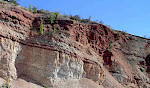 Der Steinbruch Baddeckenstedt mit hellen Kalksteinen, überlagert von Rotplänern (Untercenomanium-Mittelturonium), liegt an der Südflanke des Raster Berges in Baddeckenstedt/Niedersachsen. © Markus Wilmsen