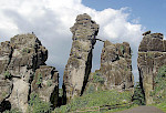 Marine Unterkreide-Sandsteine der Osning-Formation an den Externsteinen bei Horn-Bad Meinberg im Teutoburger Wald. © Markus Wilmsen