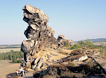 Teufelsmauer bei Weddersleben, nördliches Harz-Vorland: tektonisch aufgeschleppter, verkieselter Heidelberg-Sandstein aus dem Obersantonium. © Birgit Niebuhr